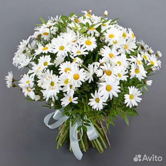 Скрипач на мероприятии