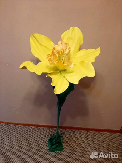 Нарцисс(декор )
