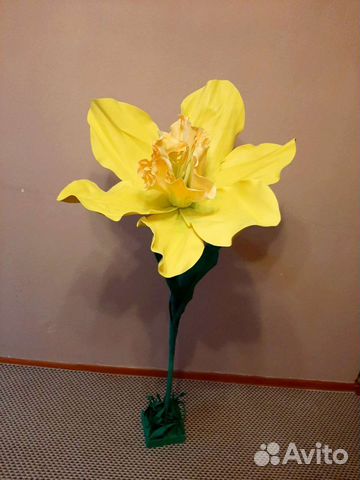 Нарцисс(декор )