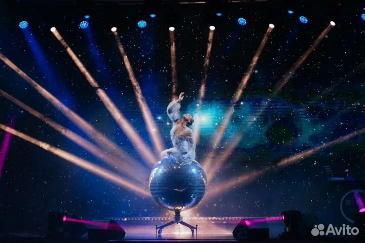 Организатор, ведущий мероприятий