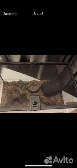 Терариум для змей и ящериц