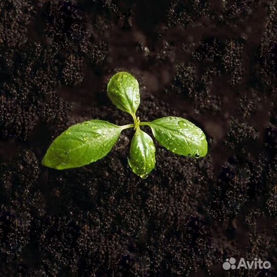 Навоз, Чернозём в мешках