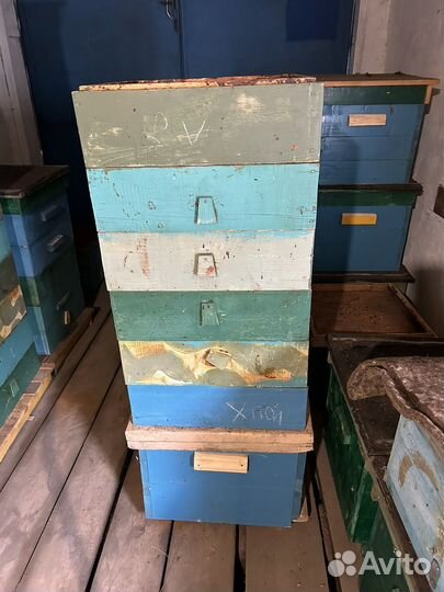 Ульи дадан, магазины, корпуса