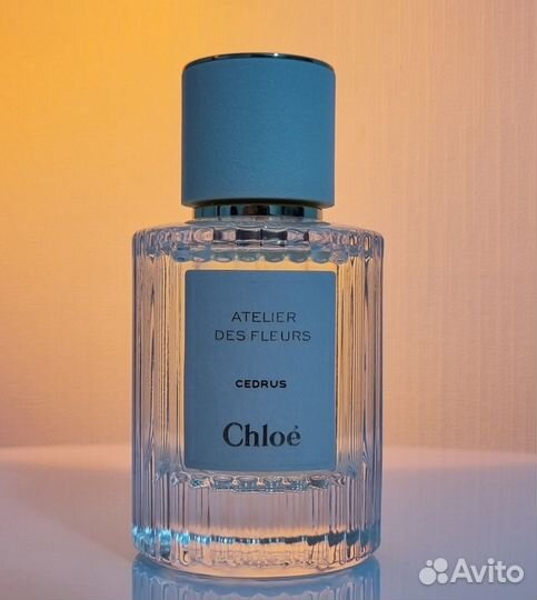 Chloe Cedrus 50 мл