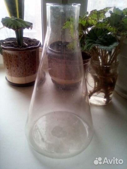 Две медицинские колбы