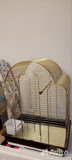 Клетка для попугая золотая