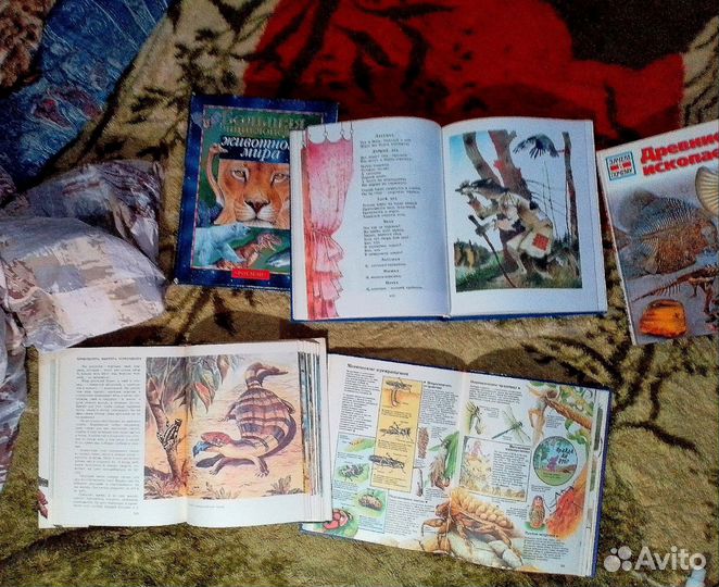 Энциклопедии и детские книги стихи