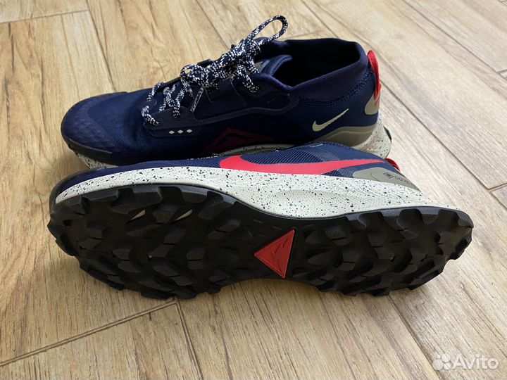 Nike pegasus trial 3