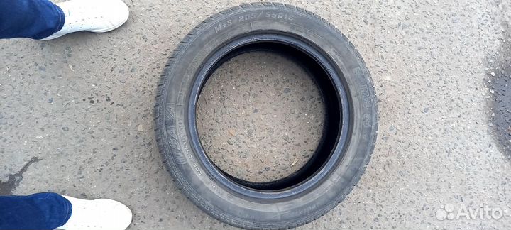 Sava Eskimo S3+ 205/55 R16