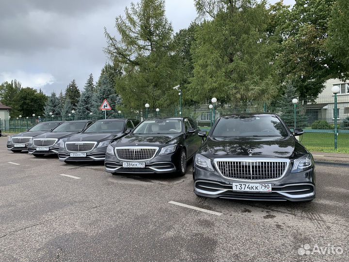 Требуется водитель на Mercedes Maybach