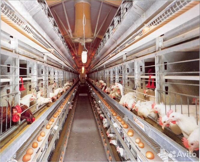 Подсобный рабочий