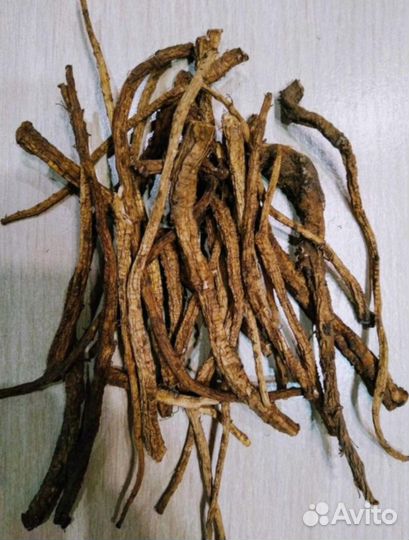 Корень одуванчика