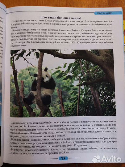 Книги детские пакетом