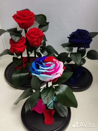 Роза в колбе оптом