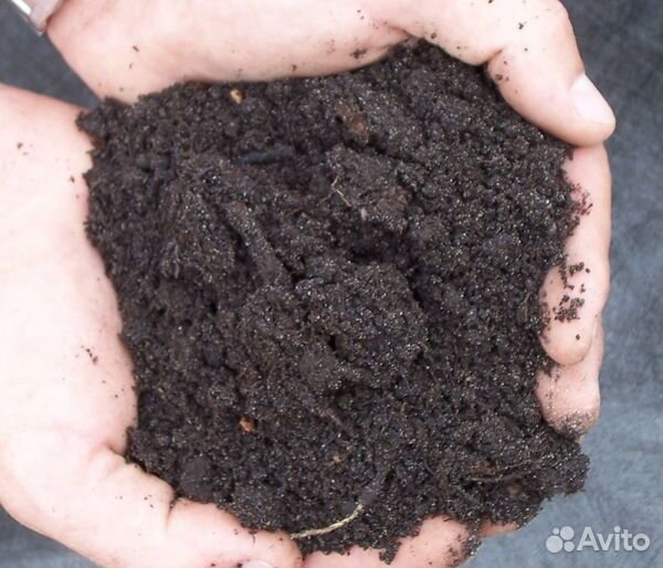 Торфогрунт