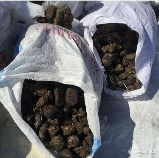 Конский навоз