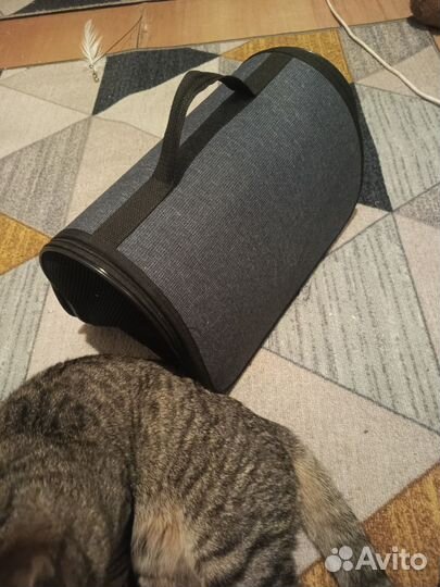 Переноска для кошек бу
