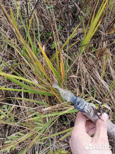 Бурение скважины