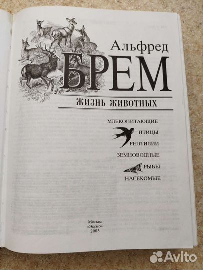 Жизнь животных Альфред Брем Москва 2003