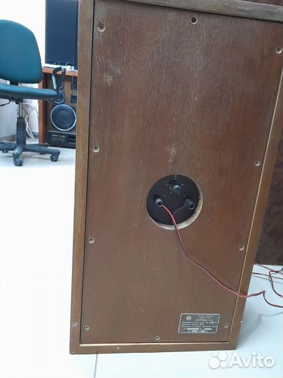 Колонки Электроника Б1-01