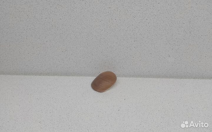 Натика 4,4 морская ракушка раковина