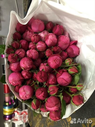 Кустовая роза/пионовидная роза опт