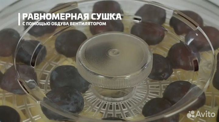 Новая электрическая сушилка для овощей и фруктов