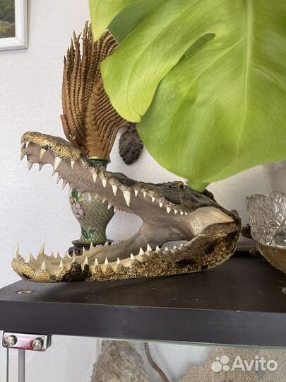 Репетитор по биологии огэ, егэ