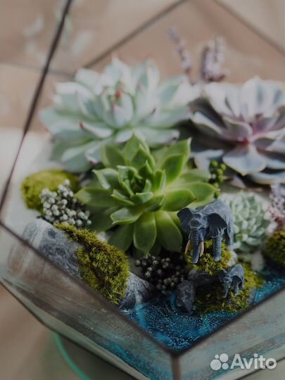 Флорариум из суккулентов (с фигурками)