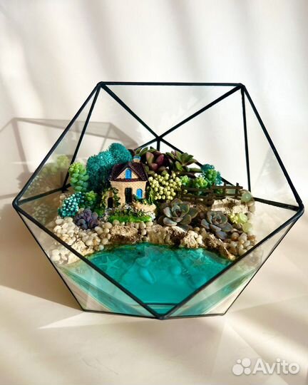 Флорариум Подарок