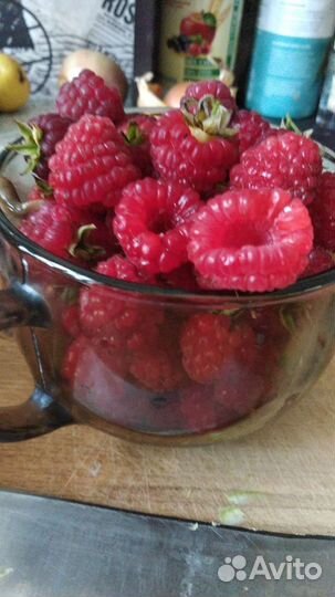 Ремонтантная малина