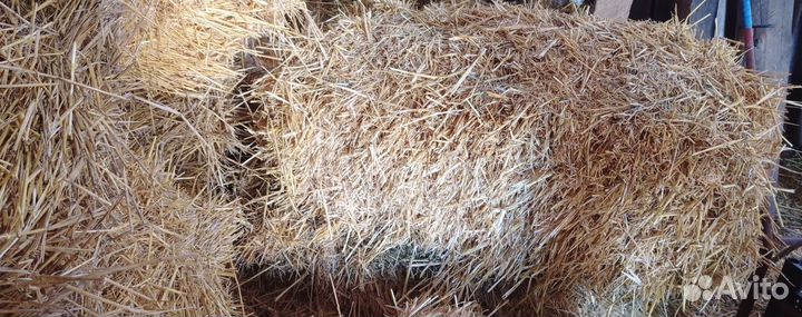 Солома в тюках