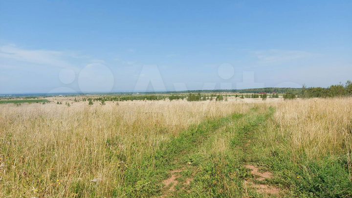 Участок 5,9 га (СНТ, ДНП)