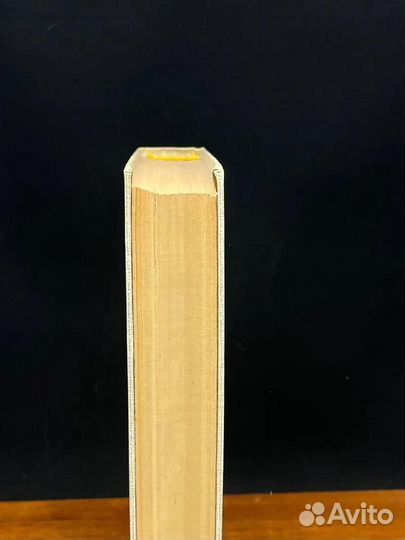 Семейный круг