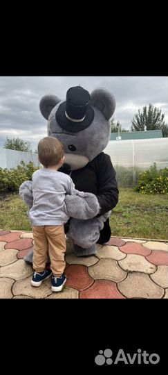 Аренда костюма медведя