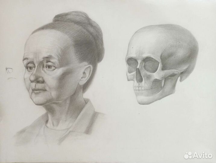 Репетитор по живописи и рисунку