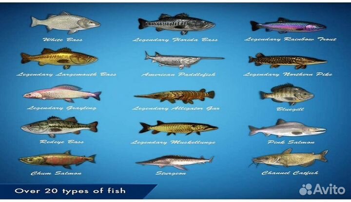 Legendary Fishing PS4, английская версия