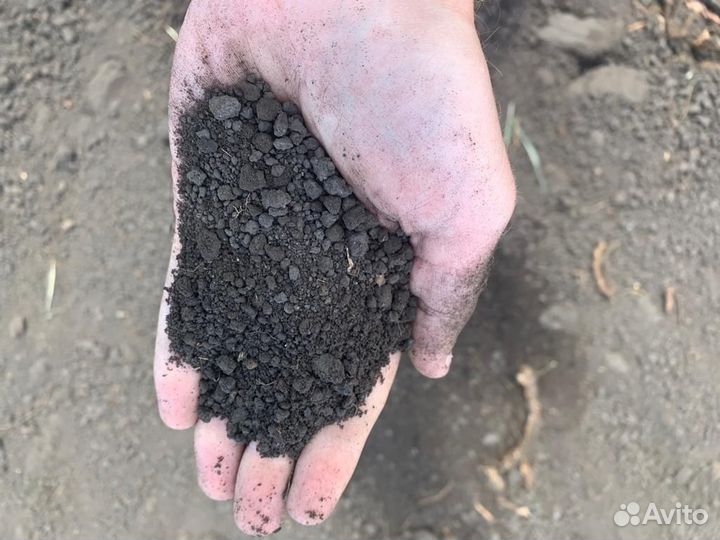 Земля / Чернозем / Грунт плодородный
