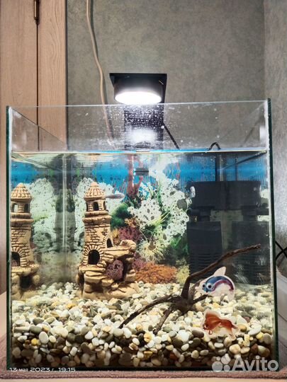 Аквариум 30л