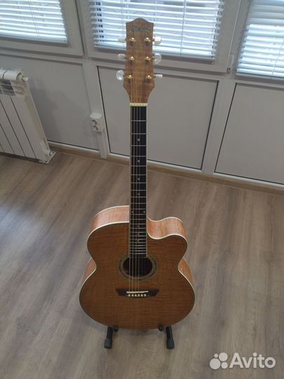 Акустическая гитара Ibanez Exotic wood series