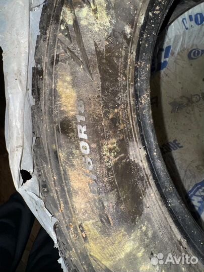 Nexen Winguard WinSpike WS62 23.5