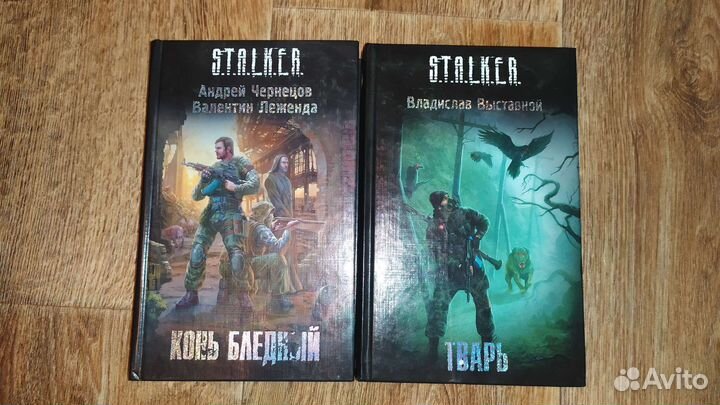 Книги серии сталкер