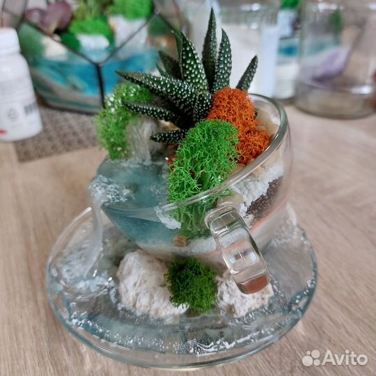 Мини флорариум с суккулентом, водопадом и водоёмом
