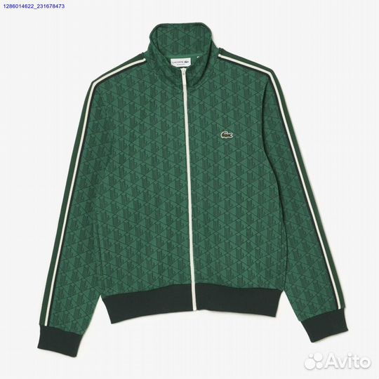 Мужской костюм lacoste (Арт.80595)