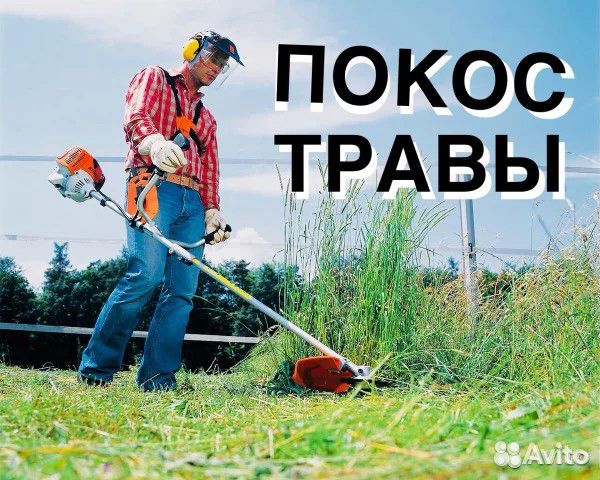 Покос травы триммером или газонокосилкой