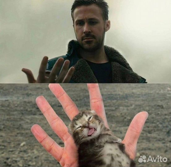 Райан гостино для мамы