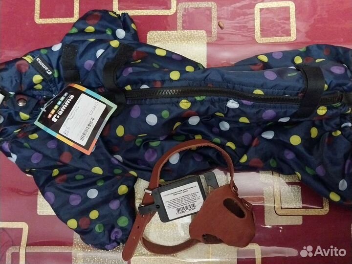 Комбинезон на таксу