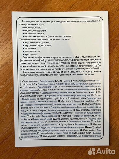 Карточки по анатомии Сапин