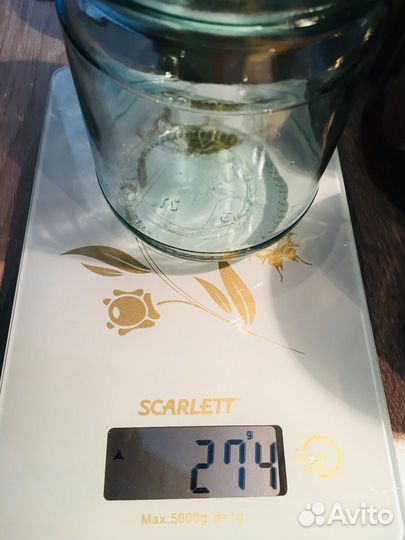 Огурчики в томатном соусе с горчицей 530 г, 0,5 л