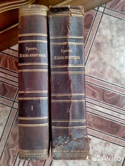 Брэм жизнь животных